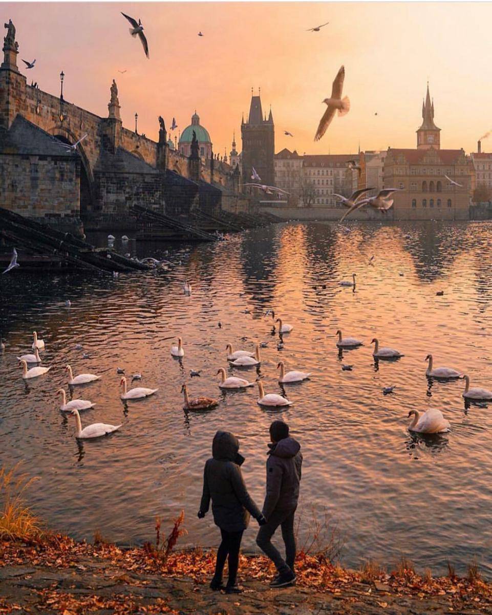 instragam.com/traveliingtgroughtheworld
