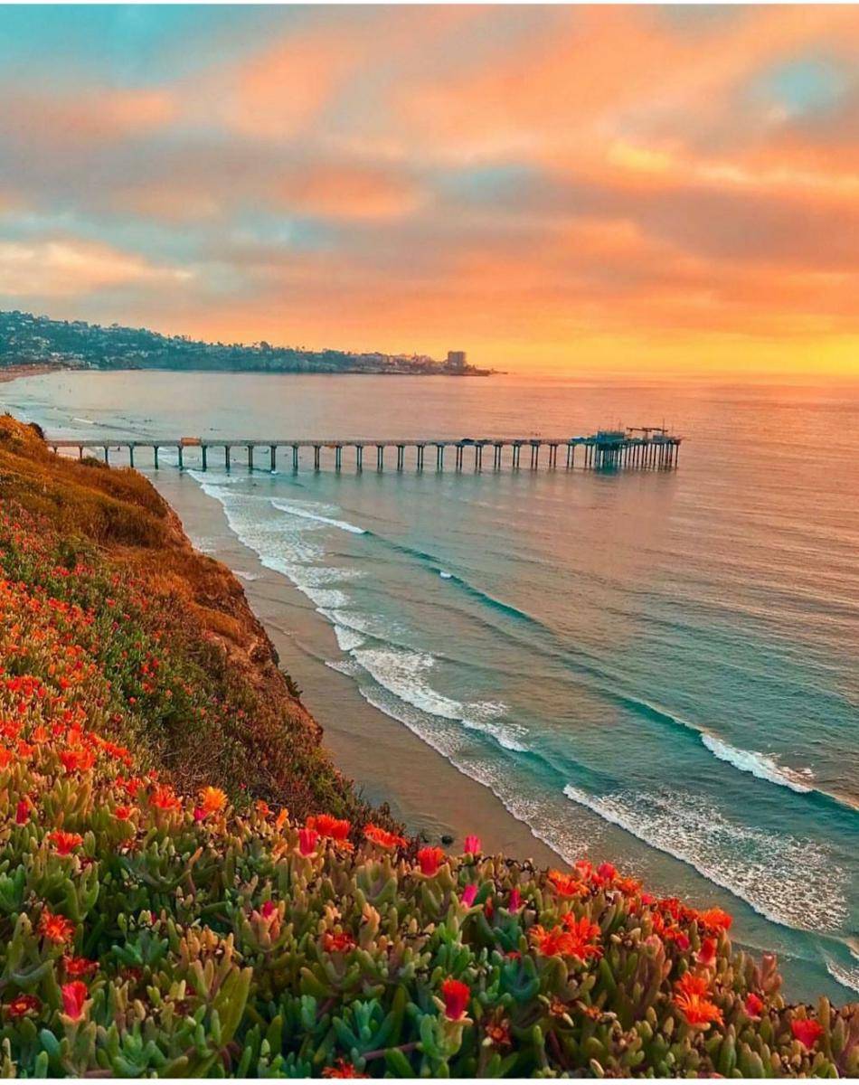 instragam.com/fotogenic.sandiego