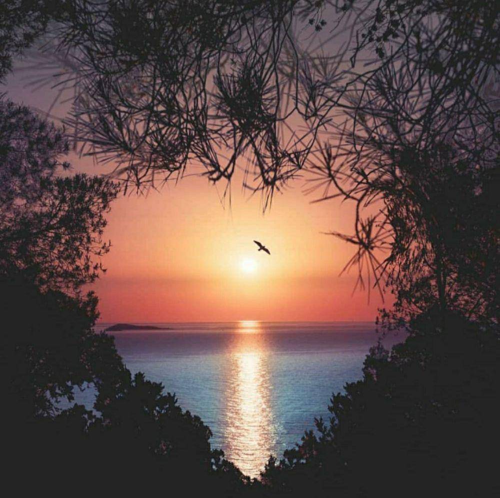 instragam.com/travellingthroughtheworld