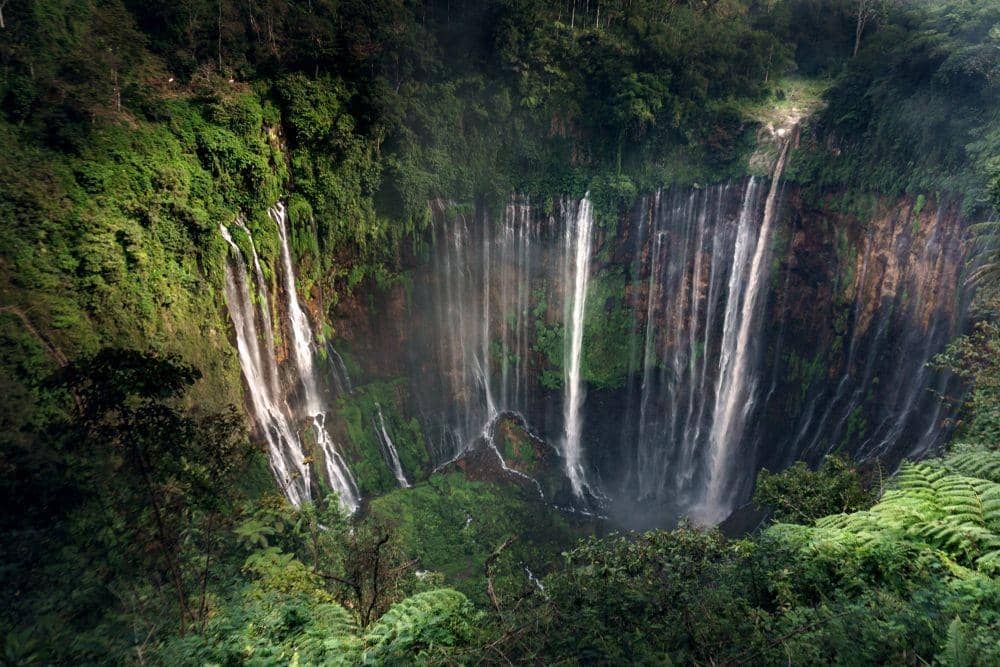 Shutterstock/Aswin Rizky Wardhana