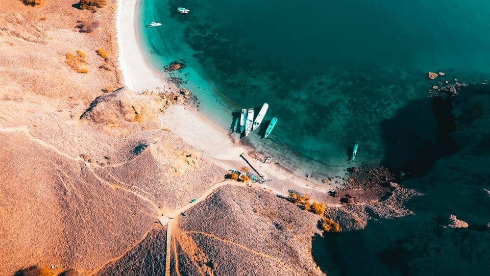 shutterstock.com/harryhermanan