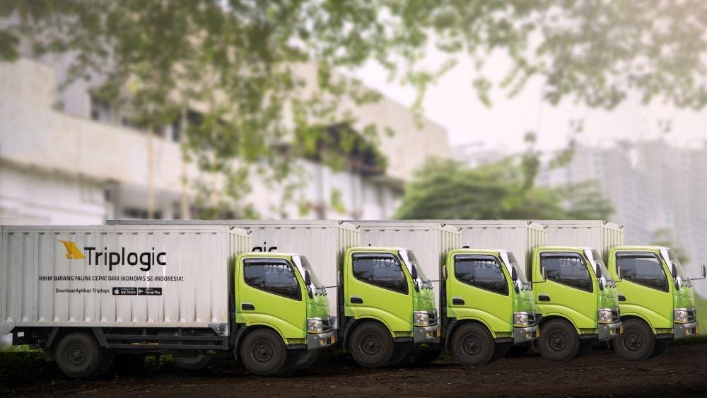 Dok.IDN Times/Istimewa