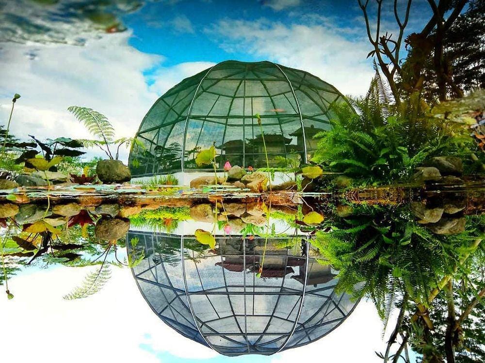 IDN Times/Instagram/yohanrineko