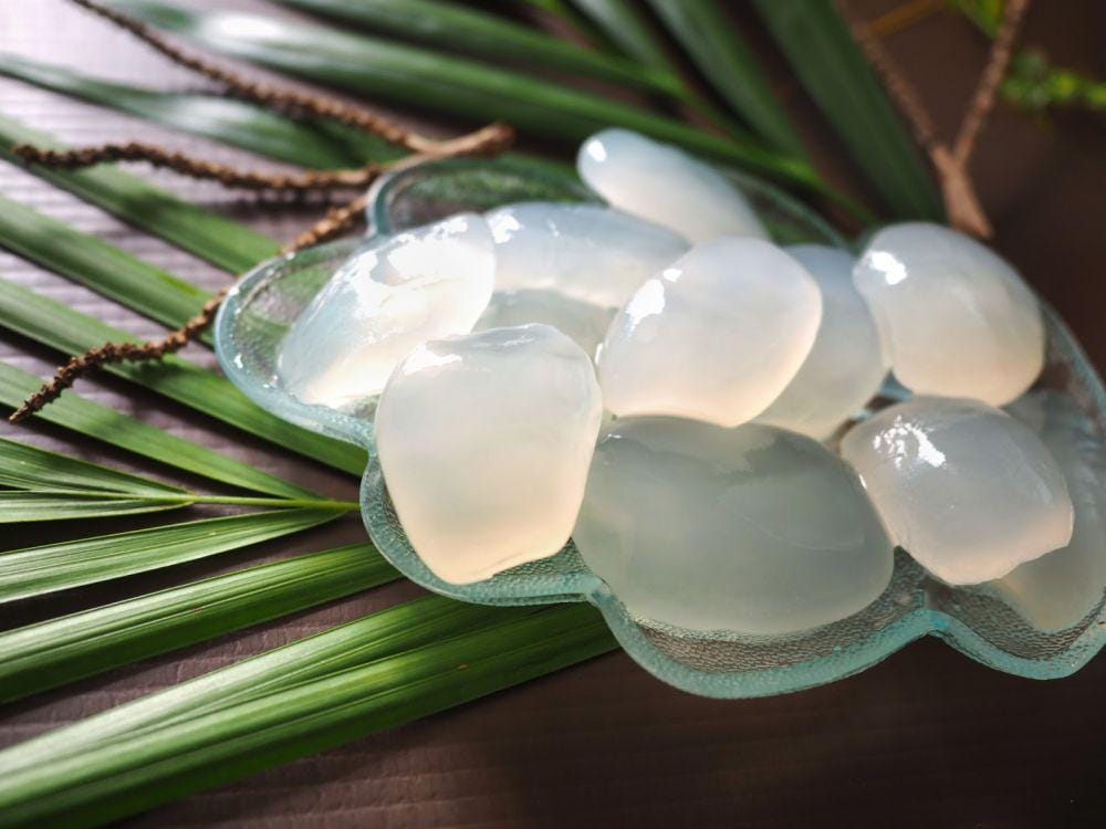 jenisfloraindonesia.web.id