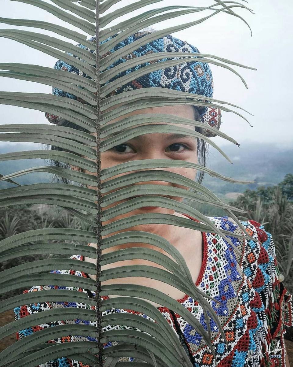 instagram.com/pesonadayak