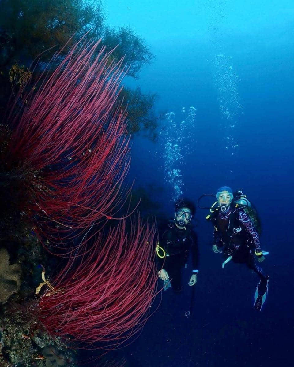 Instagram/nadinelist