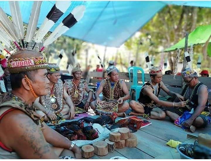 instagram.com/dayak_nusantara