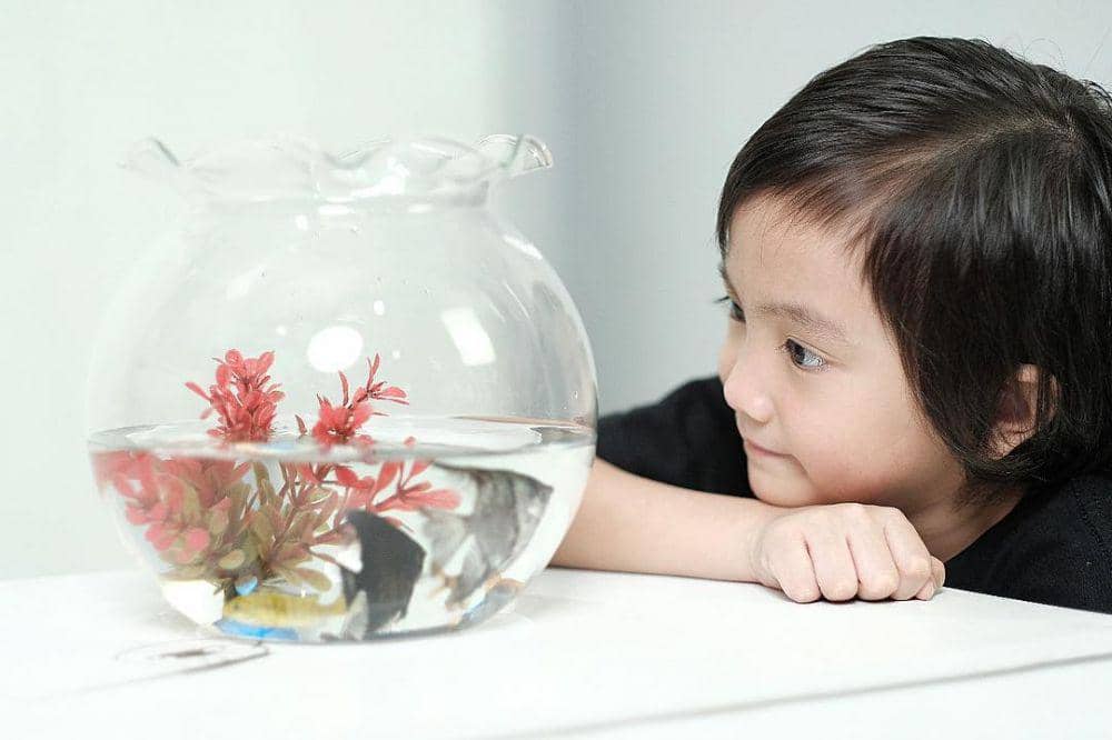 Instagram.com/sagaomarnagata