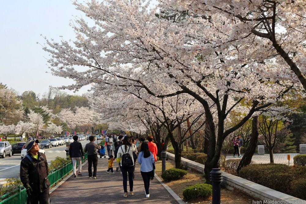 maidanchuk.blogspot.com