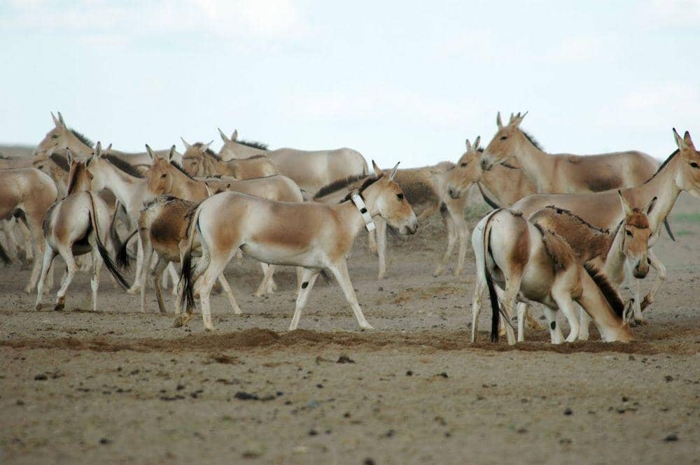 archaeologynewsnetwork.blogspot.com