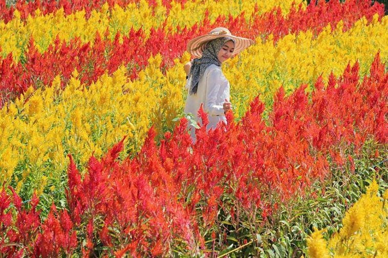 instagram.com/elzapuspitasari10