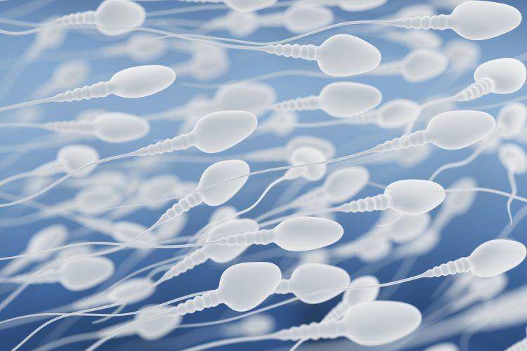 sperma