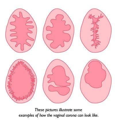 menstrual-matters.com