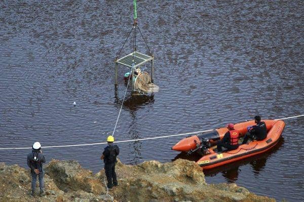 twitter.com/NewsClads