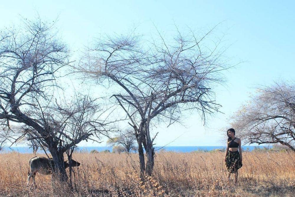 instagram.com/sumba_heaven