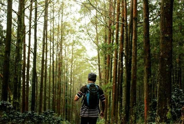 instagram.com/aliqqila