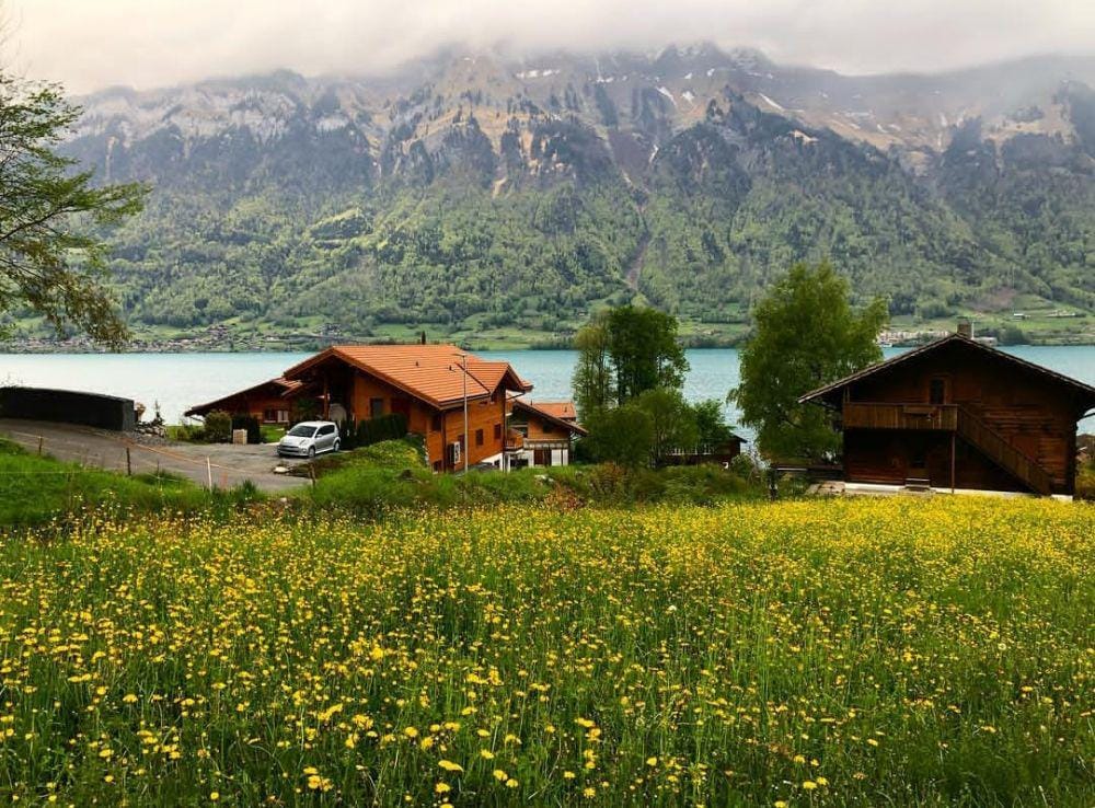 Instagram.com/ecenevra