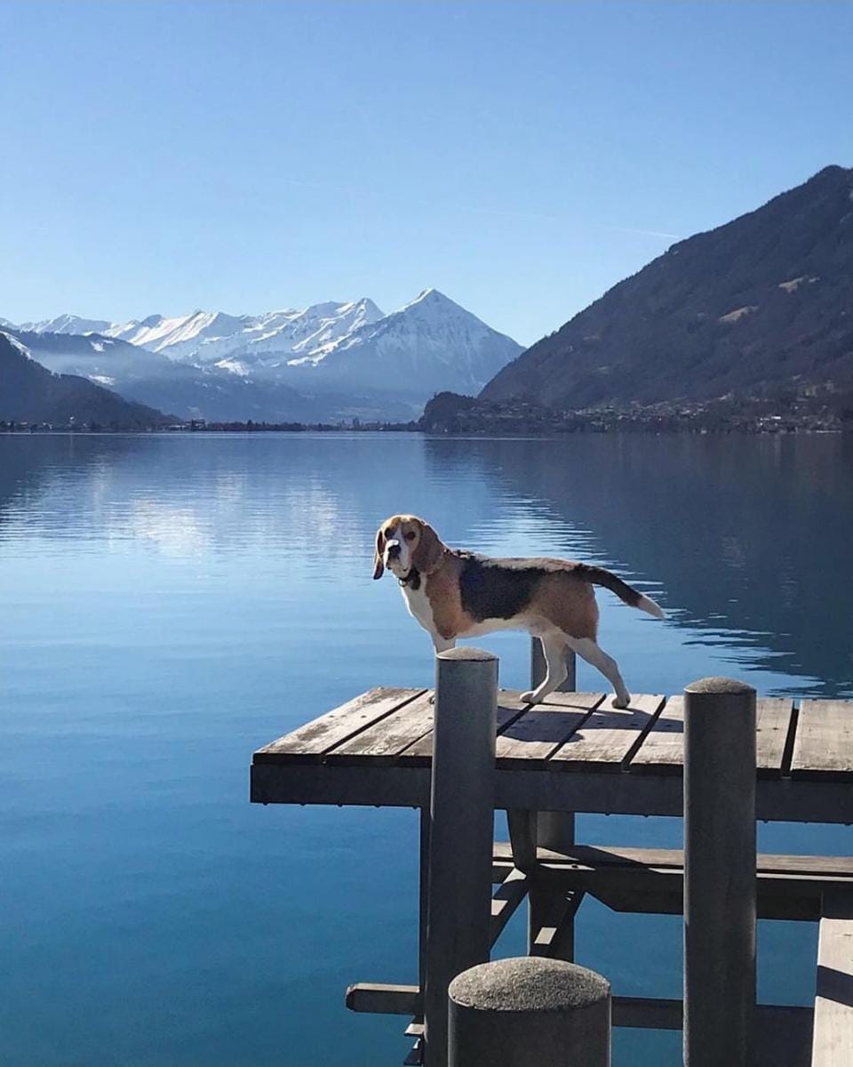 Instagram.com/cala_way