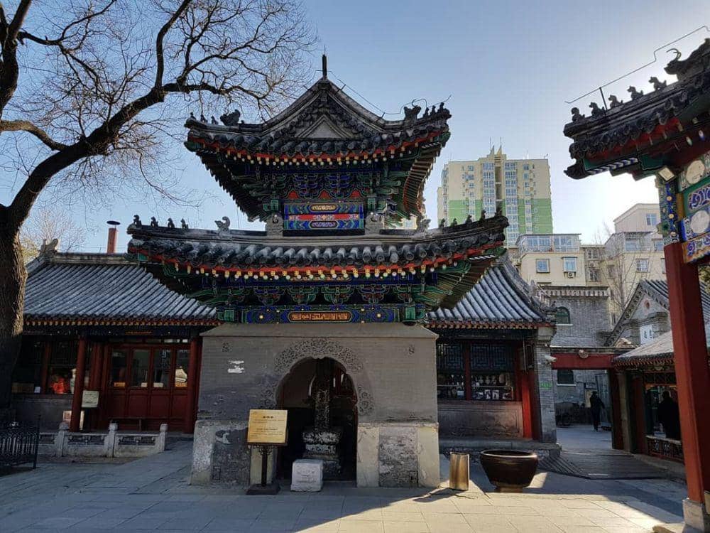 instagram.com/lennon.tm