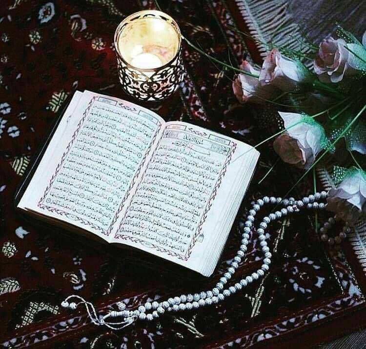 pinterest/Terezinha da Silva Bernardi