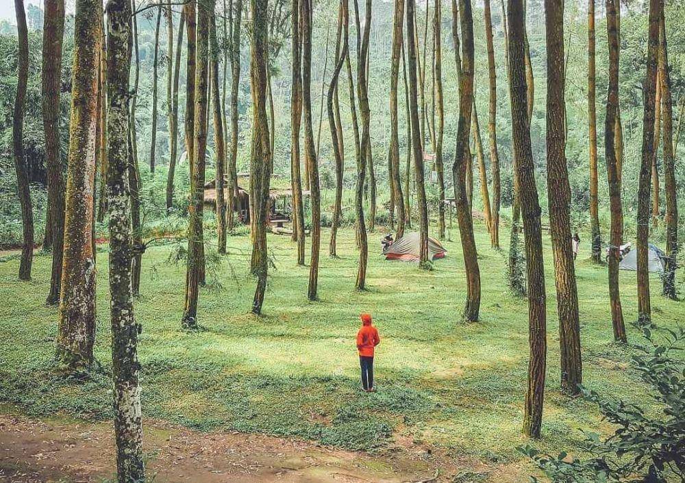 instagram.com/infomalangraya