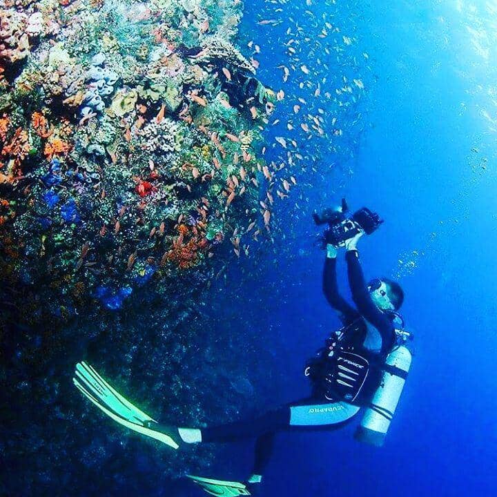 instagram.com/abdulwahidola