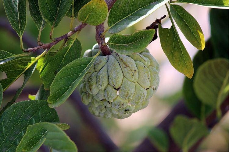 unsplash.com/Prince Abid