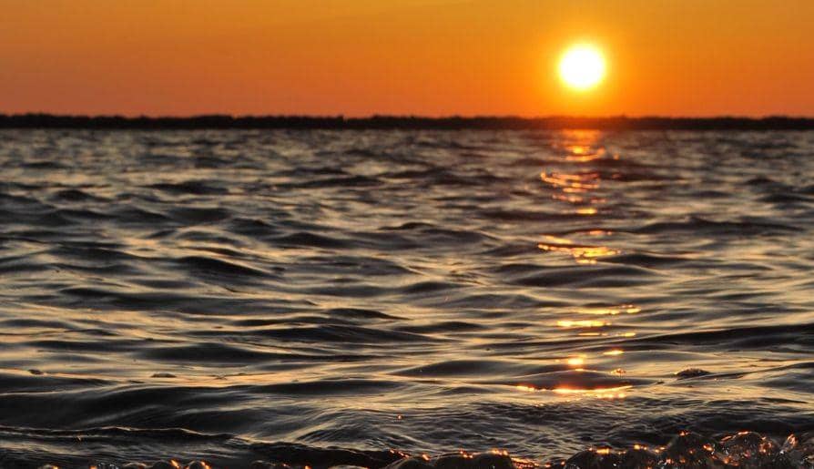 Unsplash/Rachel Cook