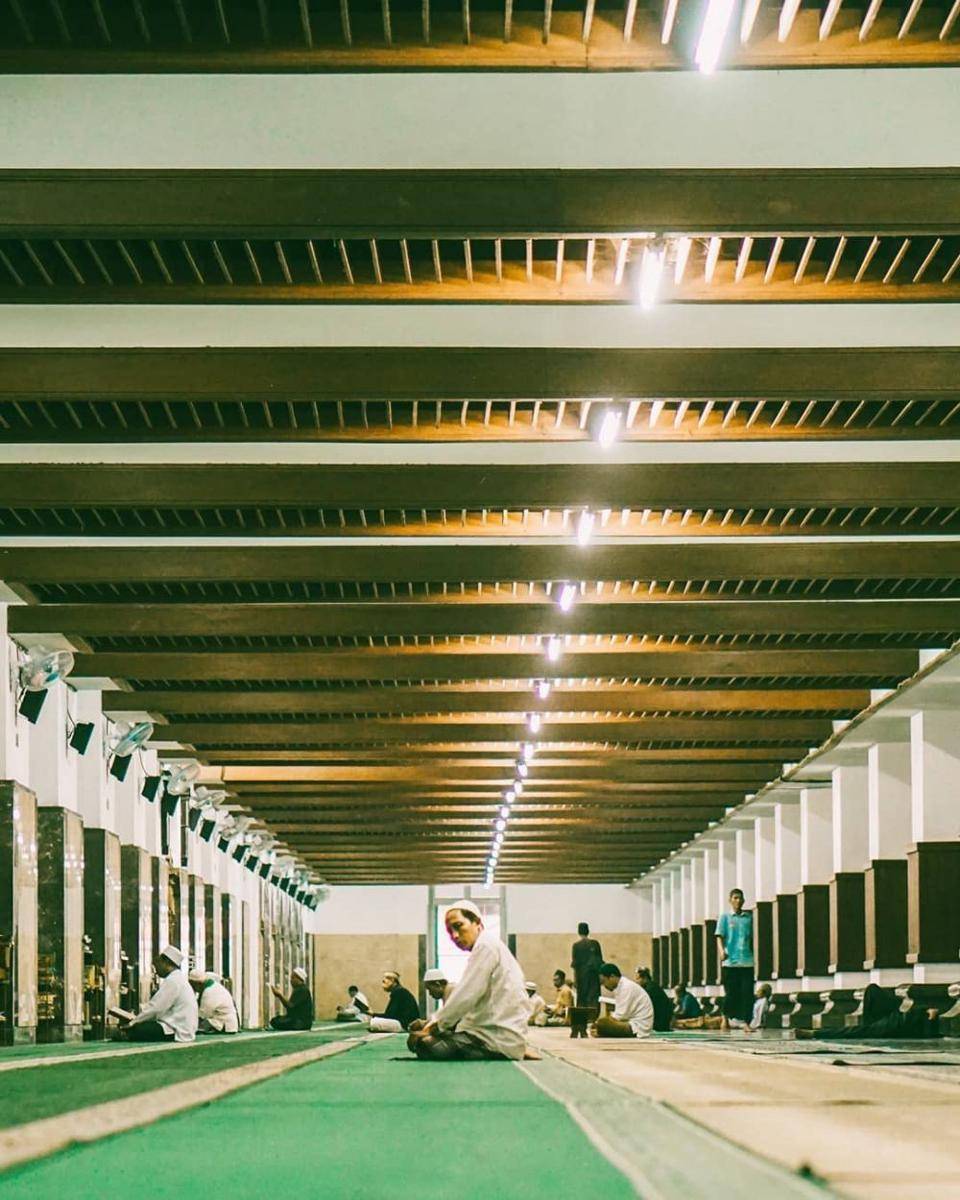 instagram.com/izality