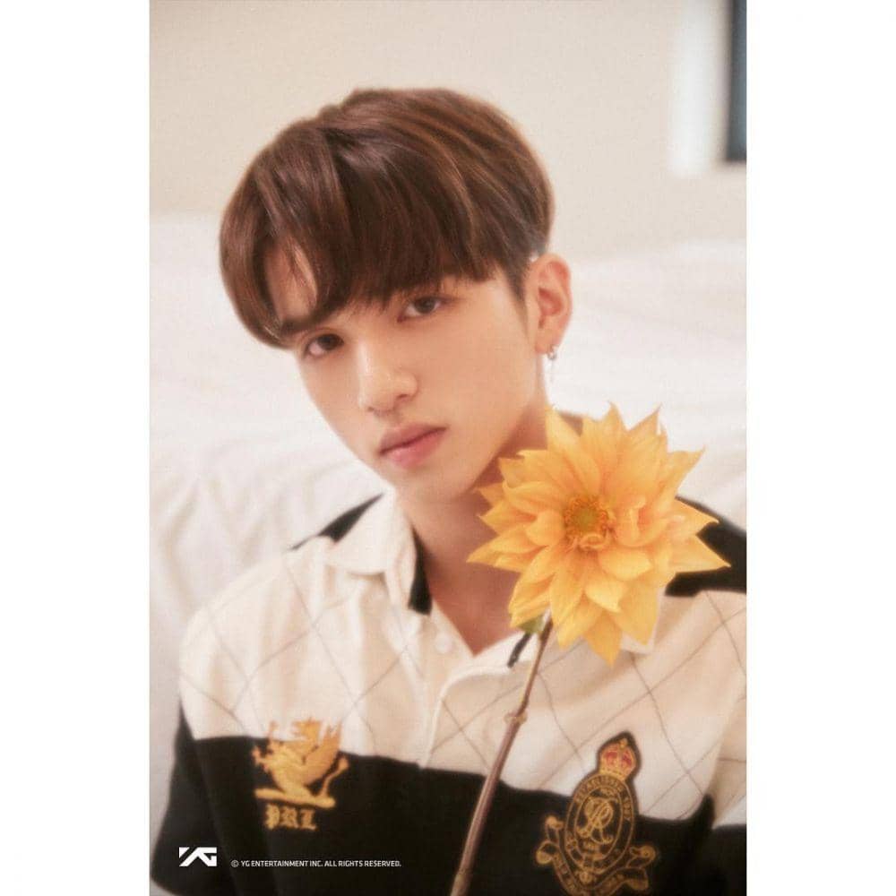 instagram.com/yg.treasurebox