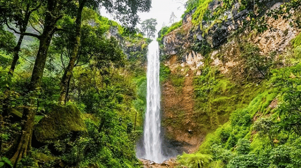 instagram.com/jessywiryanto.id