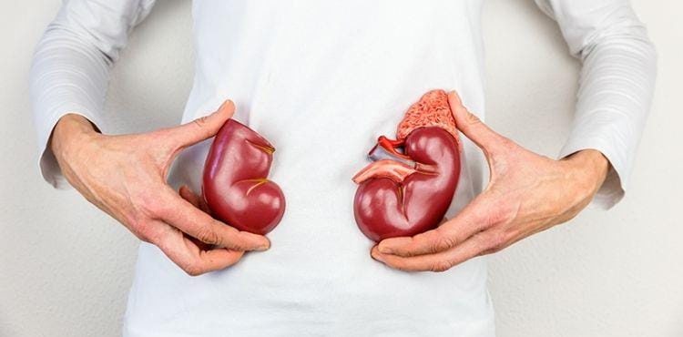 georgeinstitute.org.au