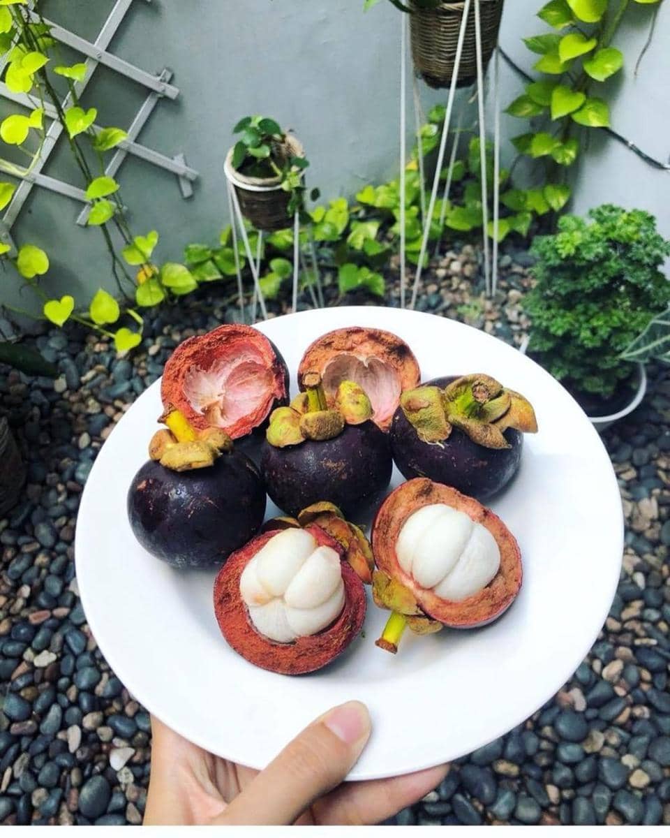 Instagram.com/sayurbox