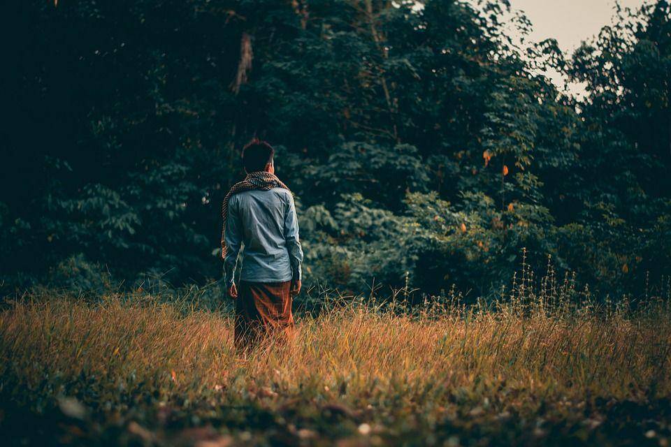 Pixabay.com/darwisalwan