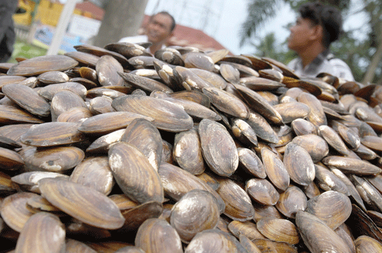 medanbisnisdaily.com