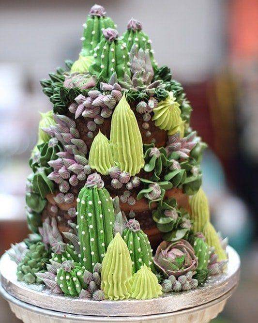 instagram.com/cacti.cacti/