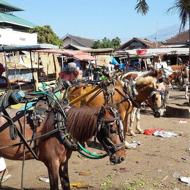 Instagram.com/deceng