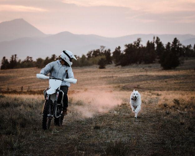 unsplash.com/Kelly Lund