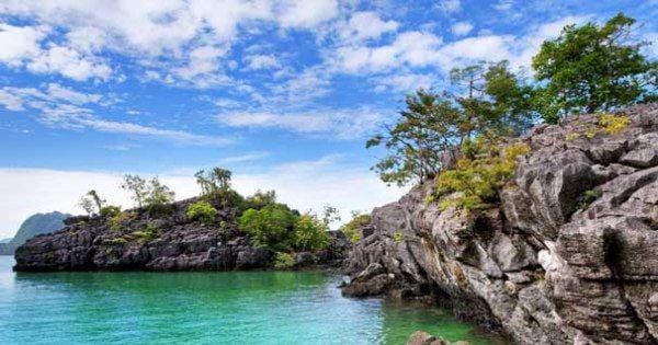  rioaditama123.wordpress.com