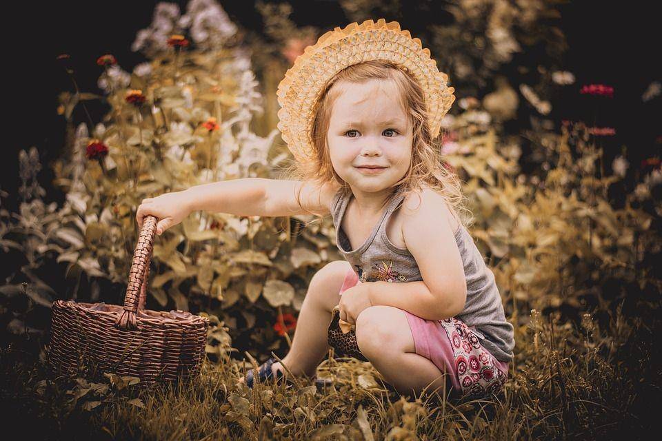Pixabay/7000920