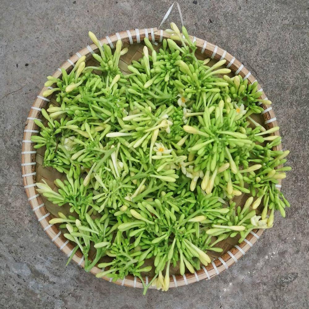 Instagram.com/antung_asyiah015