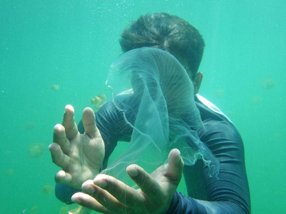 Dok. Pribadi/Intan Deviana