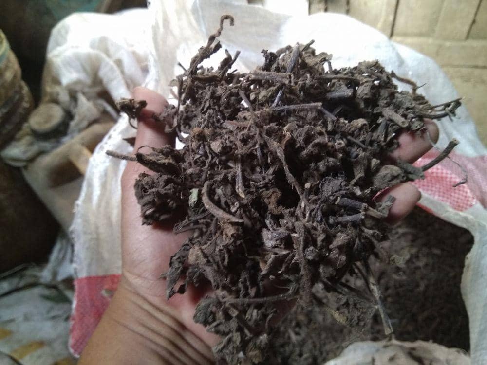 IDN Times/Nofika Dian Nugroho