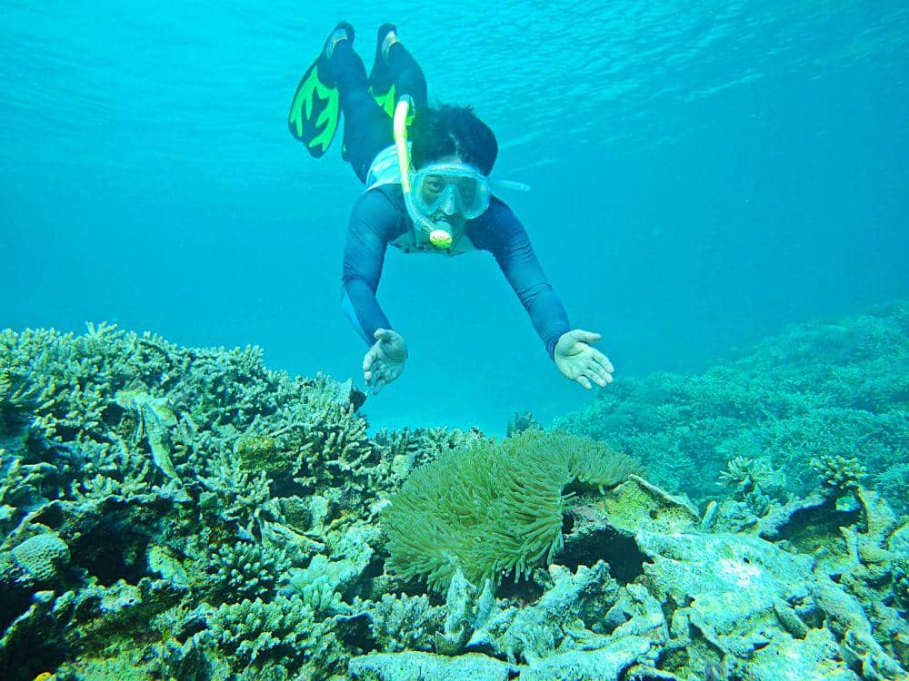 Dok. Pribadi/Intan Deviana