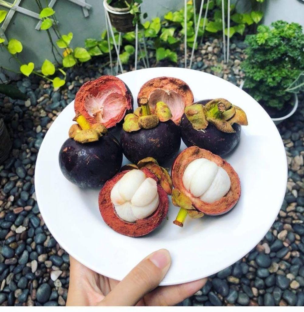 Instagram.com/sayurbox