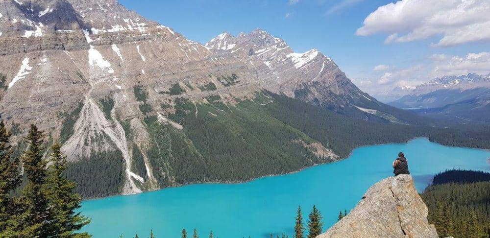 unsplash.com/Rafa Prada