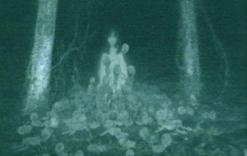 stomp.straitstimes.com