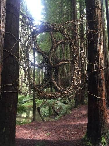 stomp.straitstimes.com