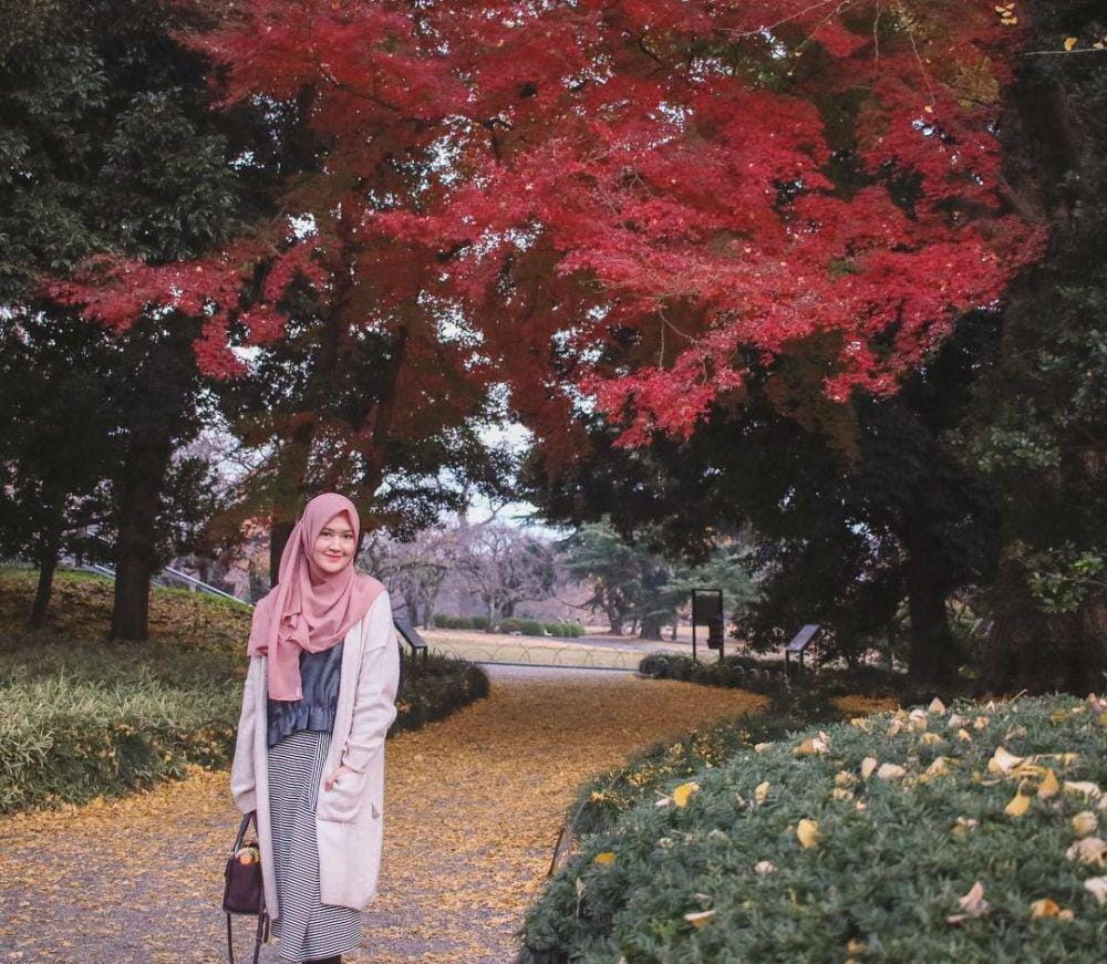 instagram.com/lisyanurrahmii