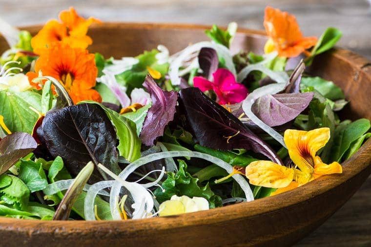 7 Jenis Bunga Ini Ternyata Sehat untuk Dikonsumsi